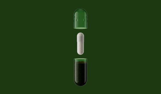 Seed DS-01® Daily Synbiotic-24-Strain Probiotic + Prebiotic for Daily Gut Health